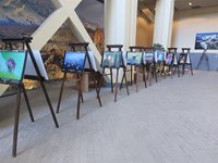 В Национальном музее Республики Алтай начала работу объединённая фотовыставка «Живая природа Алтая»