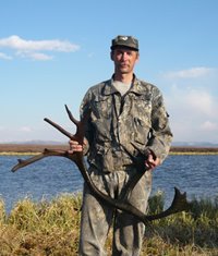 В Алтайском заповеднике обнаружены рога северного оленя