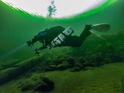 Подводный мир заповедного озера в июне
