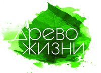 Восемь школьников из Республики Алтай стали лауреатами I степени IХ Открытого межрегионального экологического фестиваля «Древо жизни»