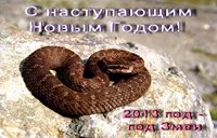 Обитатели Алтайского заповедника  поздравляют всех с наступающим Новым годом! 
