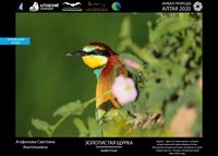XI Международный фотоконкурс «Живая природа Алтая» в новом формате