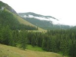 Язула - самый дальний кордон Алтайского заповедника