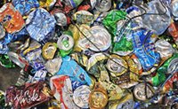 Штрафы за мусор в Горном Алтае могут возрасти в 5-10 раз