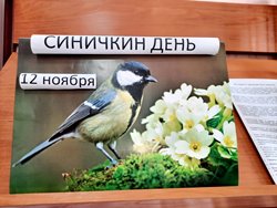 «Синичкин день» в Национальной библиотеке Республики Алтай