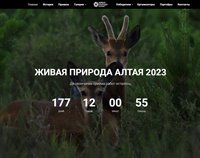 Объявлен старт конкурса фотографии «Живая природа Алтая-2023»