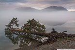 Туман на Телецком озере. Алтайский государственный природный биосферный заповедник. 