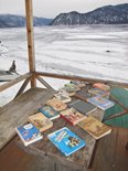 Читальный зал Алтын-Кёля как кабинет заповедной библиотерапии на берегу Телецкого озера