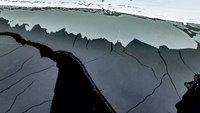 Удивительные картины снежной абстракции на водной глади Телецкого озера запечатлели в Алтайском заповеднике