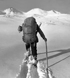 прокладывать лыжню не просто, фото А. Паничев