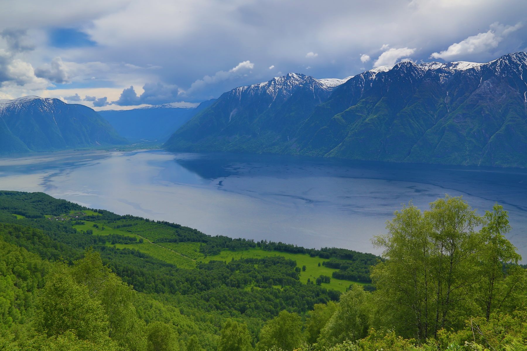 Недавно был образован государственный природный. Алтайский биосферный заповедник Телецкое озеро. Горы Алтая Телецкое озеро. Тайга Алтай Телецкое озеро. Золотые горы Алтая Телецкое озеро.