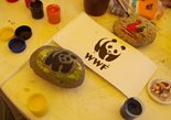 Творческая мастерская от WWF и Алтайского заповедника